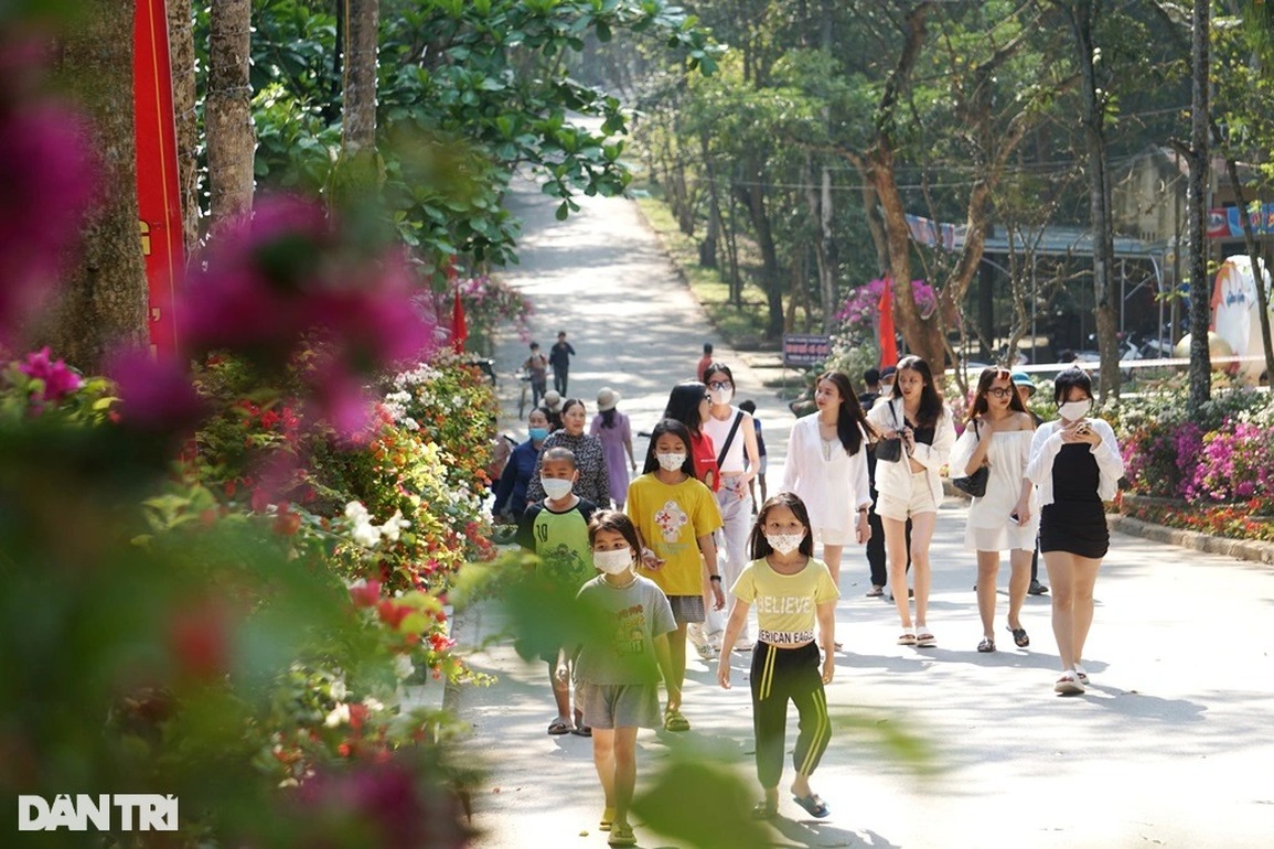 Giới trẻ thỏa sức sống ảo với đường hoa tình yêu trên đỉnh Trường Lệ - 5 Giới trẻ thỏa sức sống ảo với đường hoa tình yêu trên đỉnh Trường Lệ - 5