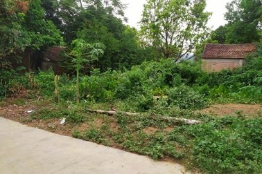 Cuối năm vay tiền "găm" đất chờ giá tăng, coi chừng "mất cả chì lẫn chài"