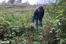 Ngôi mộ hợp táng bỗng dưng "biến mất" ở Hà Tĩnh