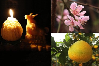 Bưởi cảnh, đào Tết "nô nức" xuống phố, nhà vườn lo sớm "cháy" hàng