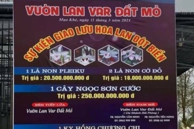 Vụ giao dịch lan gần 300 tỷ đồng: Khó xử lý vì chưa chuyển tiền