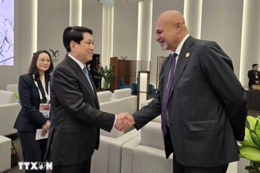 Chủ tịch nước Lương Cường gặp lãnh đạo một số thành viên APEC