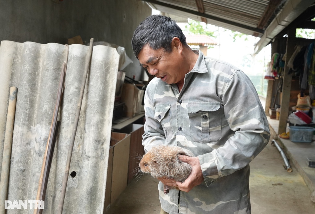 Người đàn ông làm giàu từ 6 con vật thích bóng đêm - 1 Người đàn ông làm giàu từ 6 con vật thích bóng đêm - 1