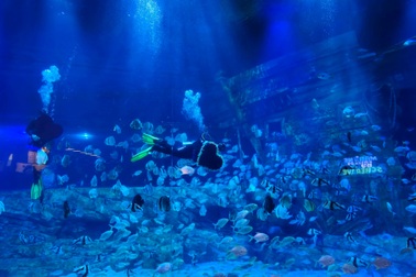 Gợi ý các điểm vui chơi, ăn uống tại Lotte Mall Tây Hồ, Hà Nội