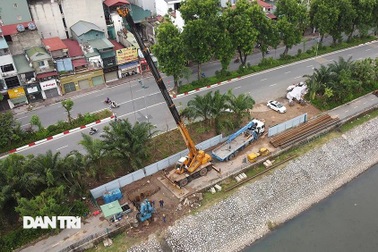 Đánh chuyển hơn 700 cây xanh dọc sông Tô Lịch để làm dự án thoát nước thải