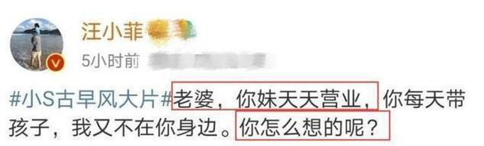 Chồng thiếu gia lên mạng chỉ trích Từ Hy Viên “không biết kiếm tiền” - 2