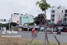 Người phụ nữ đi xe đạp sang đường gây xôn xao mạng xã hội