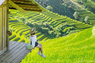 Sợ cảnh chen chúc check-in, khách tranh thủ lên Mù Cang Chải ngắm lúa sớm - 7