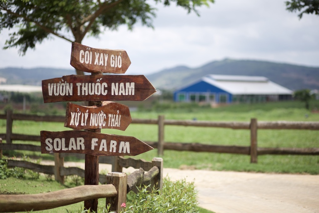 Lộ trình thúc đẩy nông nghiệp bền vững của Vinamilk qua mô hình trang trại bò sữa - 3 Lộ trình thúc đẩy nông nghiệp bền vững của Vinamilk qua mô hình trang trại bò sữa - 3