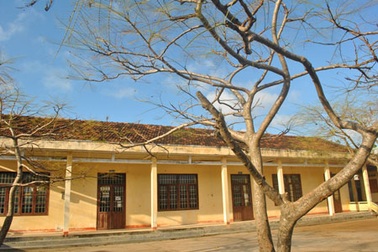 Trường học đóng cửa vì bị... sâu đo tấn công 