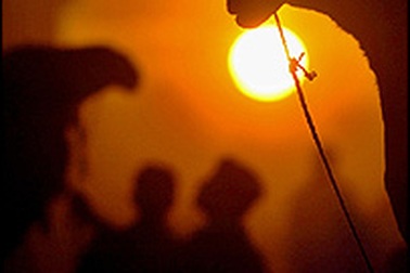 Nhiễm bệnh từ tình dục đồng giới gia tăng