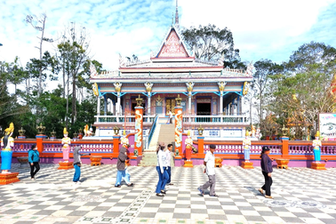 Vườn hướng dương 2.000m2 rực rỡ trong ngôi chùa độc đáo ở Sóc Trăng