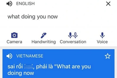 Google dùng từ lóng "mắng" vỗ mặt người dùng Việt vì viết sai câu tiếng Anh
