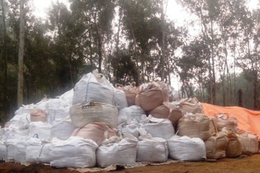 "Truy" Giám đốc Sở TN&MT trách nhiệm trong vụ chôn thuốc trừ sâu