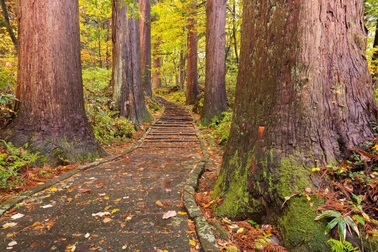 Khám phá vẻ đẹp xứ Phù Tang từ những điểm đến ít người biết