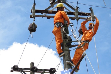 Cách tra cứu chỉ số tiêu thụ và tiền điện hàng tháng bằng ứng dụng VNeID