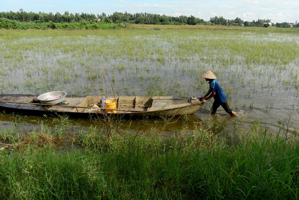 Nông dân miền Tây chật vật mưu sinh mùa nước lũ - 2 Nông dân miền Tây chật vật mưu sinh mùa nước lũ - 2