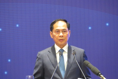 Việt Nam coi trọng hợp tác với các tổ chức phi chính phủ nước ngoài