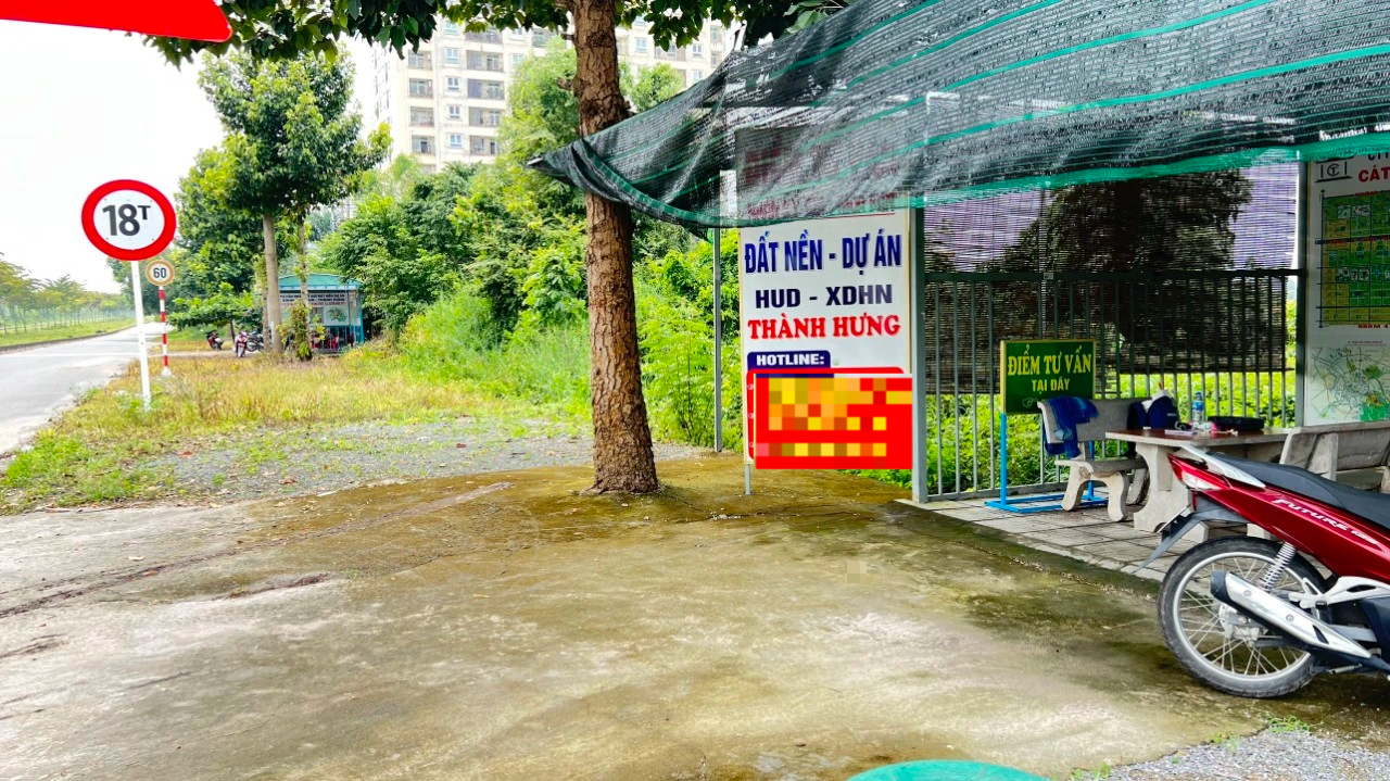 Bài 2: Sau 20 năm, thành phố ma ở Nhơn Trạch vẫn là nơi để… thả trâu - 1 Bài 2: Sau 20 năm, thành phố ma ở Nhơn Trạch vẫn là nơi để… thả trâu - 1