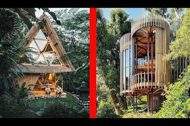 5 tuyệt phẩm nhà trên cây