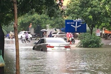 Ô tô cũ giảm giá sâu: Cẩn thận dính thủy kích