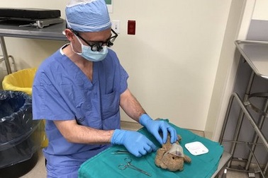 Bác sĩ khiến dân mạng thích thú với hành động đáng yêu để trấn an bệnh nhân nhí