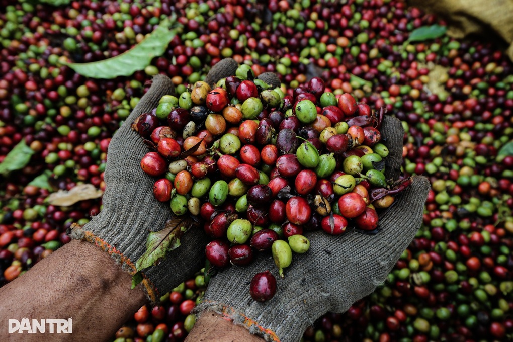 Hàng Việt Nam vào Mỹ vượt 126 tỷ USD, cao nhất lịch sử - 2