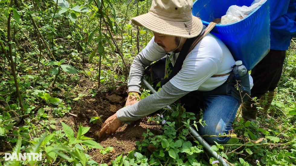 Người trẻ vượt non cao nắng cháy, vào rừng làm nhà cho vượn đen má trắng - 11 Người trẻ vượt non cao nắng cháy, vào rừng làm nhà cho vượn đen má trắng - 11