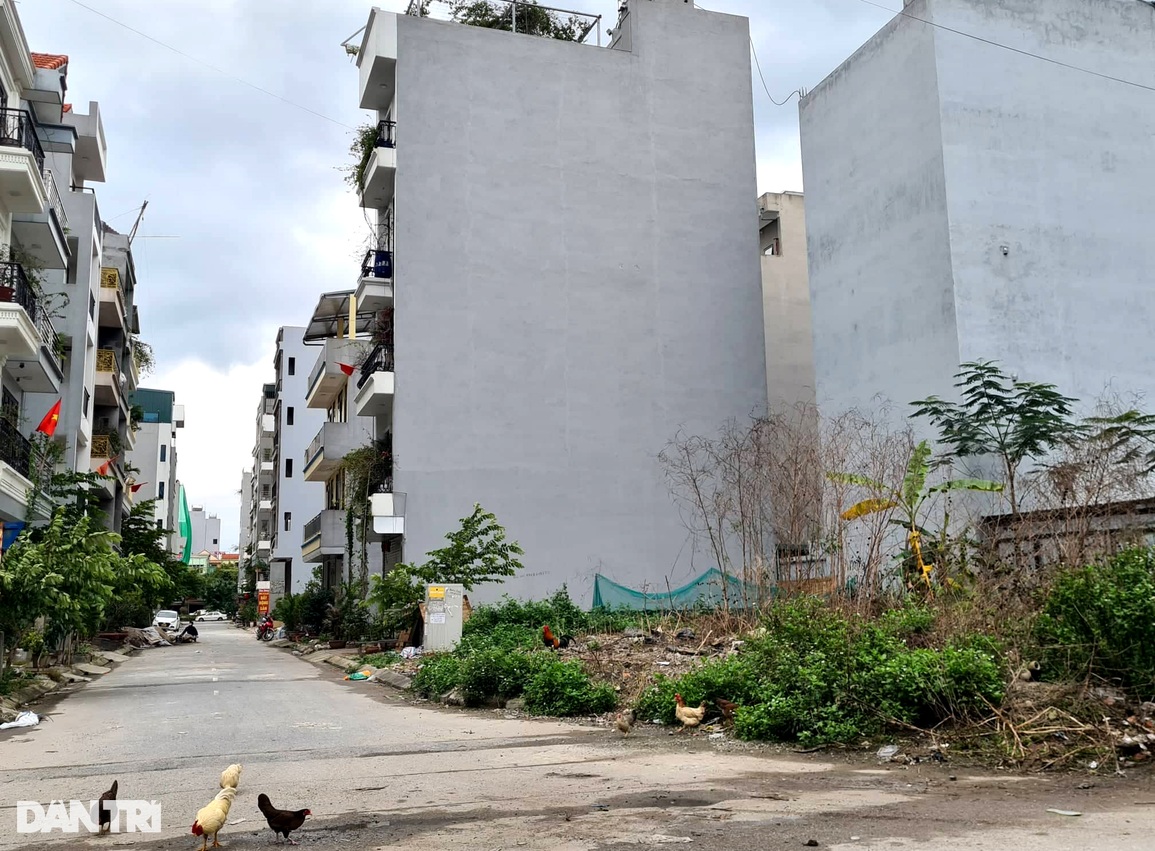 Đua lướt sóng nhà đất, nhà đầu tư đứng ngồi không yên vì bị chôn vốn - 1 Đua lướt sóng nhà đất, nhà đầu tư đứng ngồi không yên vì bị chôn vốn - 1