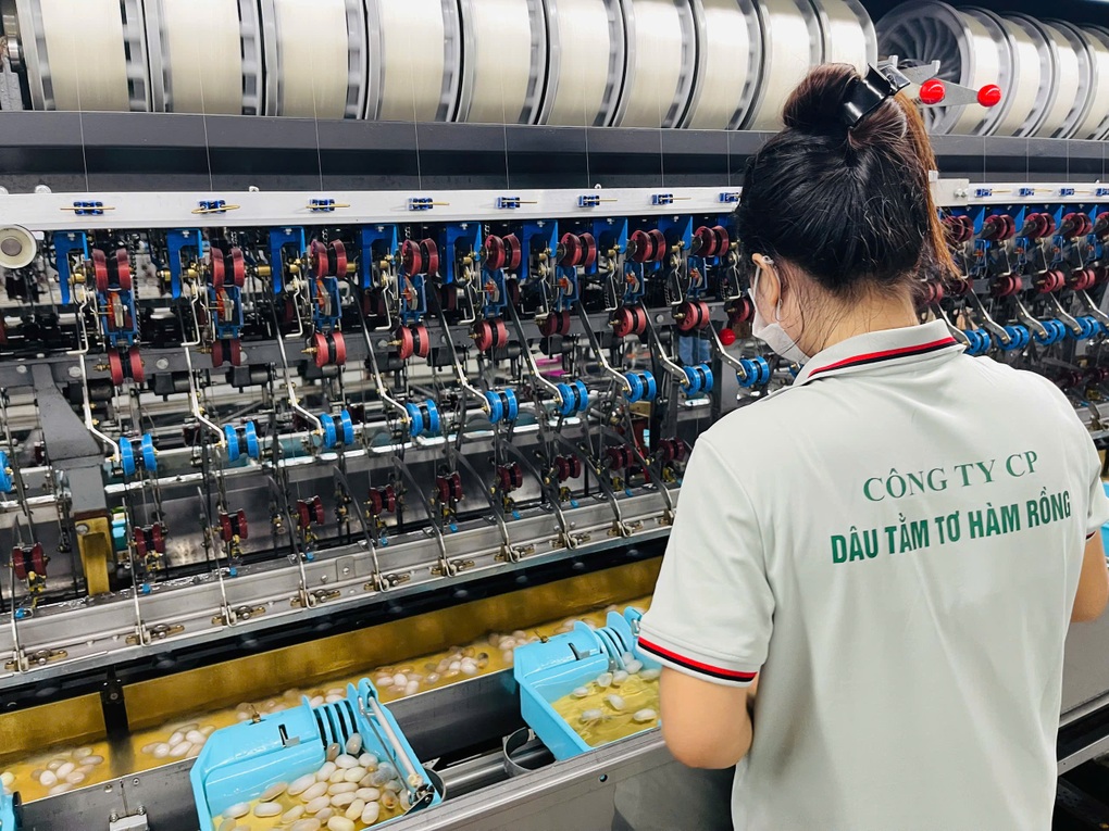 Bau Duc: Mulberry kan overgå bananer og bli HAGLs viktigste inntektskilde - 1 Bầu Đức: Dâu tằm có thể vượt chuối, thành mảng thu chính của HAGL - 1