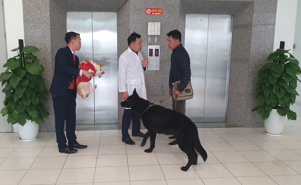 Người Hà Nội gửi thú cưng vào khách sạn để về quê ăn Tết - 1 Người Hà Nội gửi thú cưng vào khách sạn để về quê ăn Tết - 1