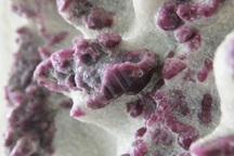 Gốc tinh thể ruby lớn nhất thế giới tại Yên Bái được trả giá tới 6 tỷ đồng