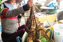 Thương lái Trung Quốc giở trò "ma" với tôm hùm