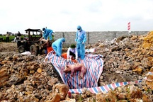 Ban Bí Thư ban hành chỉ thị tăng cường phòng, chống dịch tả lợn châu Phi