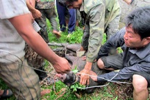 Lợn rừng cắn chết người đi săn