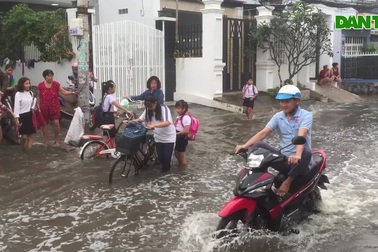 Học sinh lội nước đến trường trong ngày triều cường đạt đỉnh