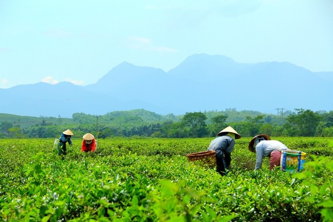 Khu du lịch nghỉ dưỡng sinh thái cao cấp Tây Bà Nà được quy hoạch trên địa bàn huyện Đông Giang. (Ảnh: Báo Đầu tư). 