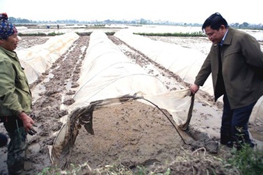 Bộ trưởng “lội ruộng” & người dân không thể chờ đợi lâu thêm nữa!