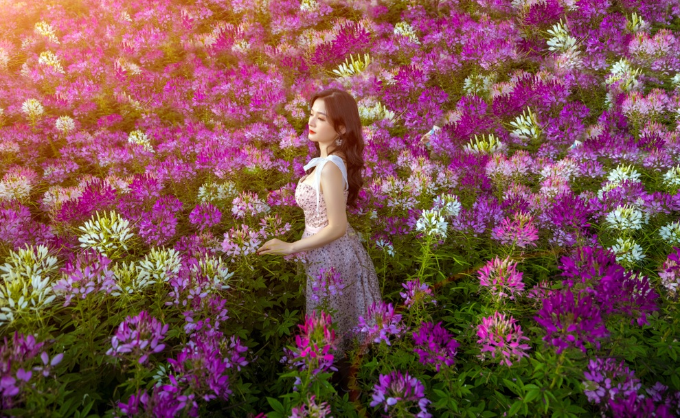 Mê mẩn khoảnh khắc Hà Nội, Sa Pa, Hội An... vào thu - 6