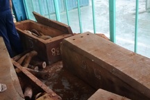 Phát hiện vụ nhập gỗ "đục rỗng ruột" giấu lượng cực lớn ngà voi