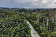 Indonesia chi thêm 1 tỷ USD đẩy nhanh kiến thiết thủ đô mới