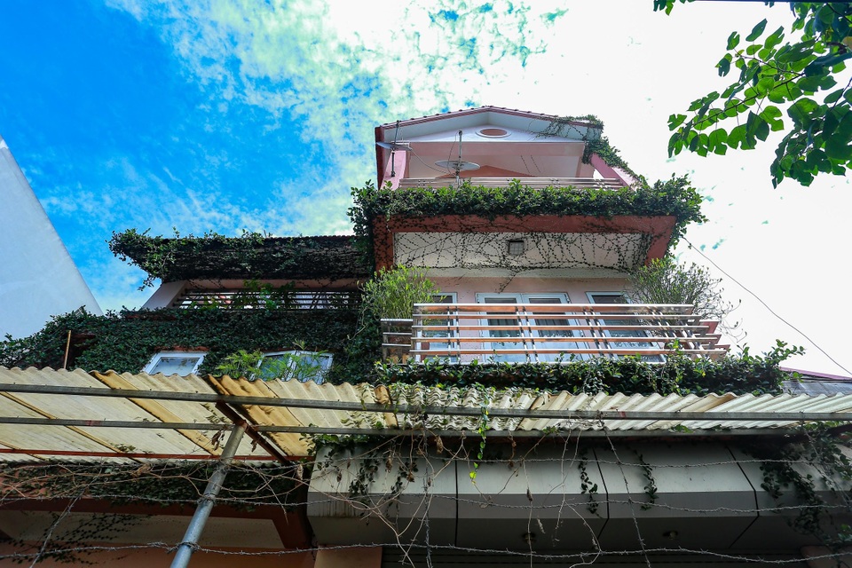 Sững sờ trước ngôi nhà phố được “ngụy trang” bằng dây leo ở Hà Nội - 4 Sững sờ trước ngôi nhà phố được “ngụy trang” bằng dây leo ở Hà Nội - 4
