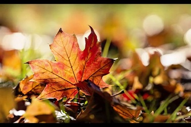 Một video mẫu trình diễn ảnh được tạo ra bởi WinX HD Video Converter