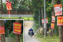 "Sốt đất" bất thường: Đánh thuế đất bỏ không, đầu cơ sẽ hết!