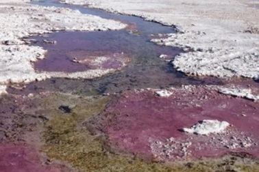 Sự sống trên Trái Đất thở bằng gì khi chưa có oxygen?