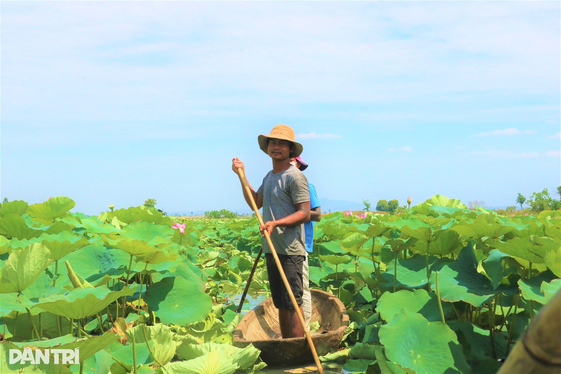 Thiếu nữ Ba Na check-in cánh đồng sen tỏa hương trên cao nguyên - 8 Thiếu nữ Ba Na check-in cánh đồng sen tỏa hương trên cao nguyên - 8