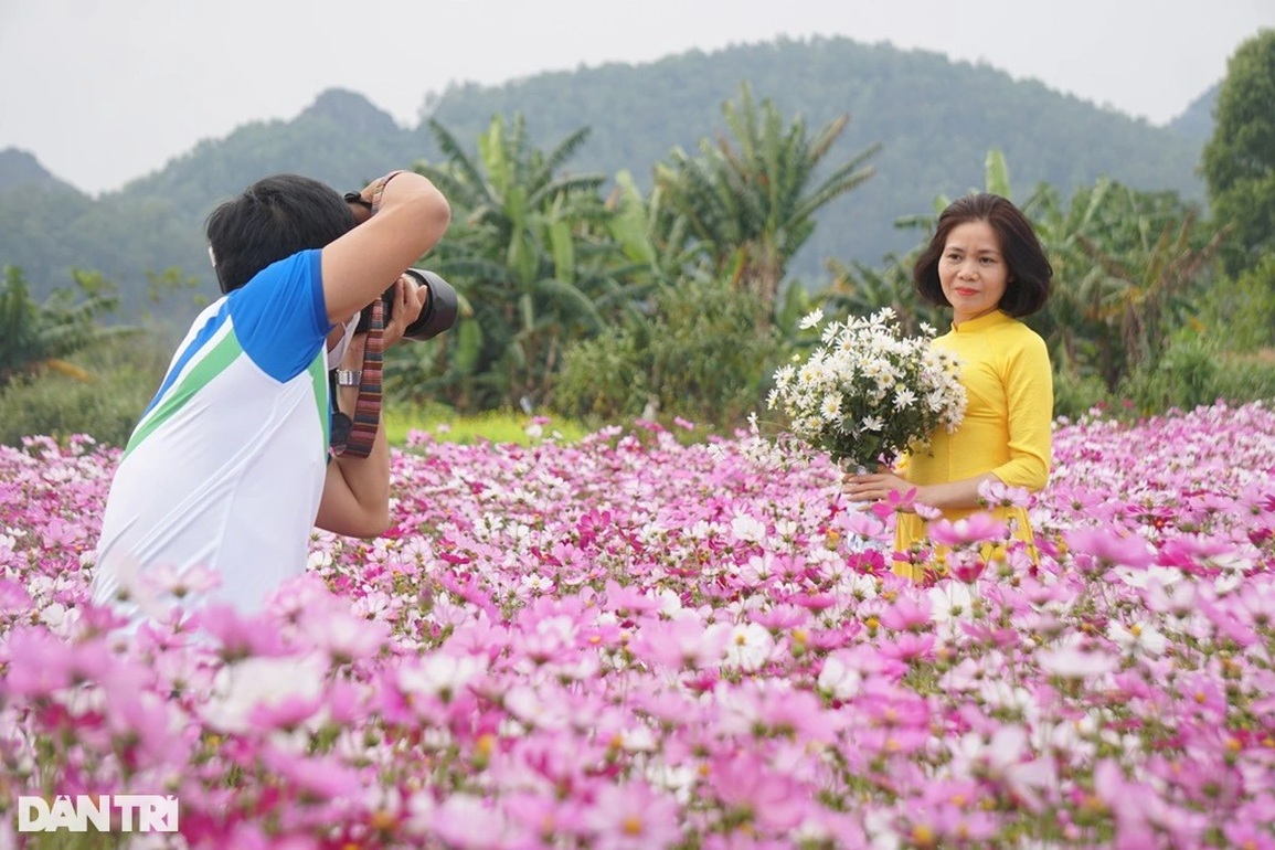 Cán bộ công an về hưu kiếm tiền triệu mỗi ngày từ cánh đồng hoa ven sông - 9 Cán bộ công an về hưu kiếm tiền triệu mỗi ngày từ cánh đồng hoa ven sông - 9