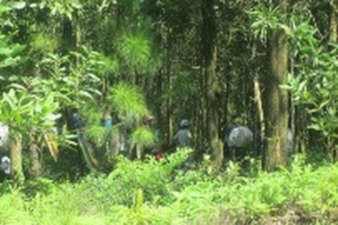 Bảo vệ công ty cao su chết bất thường ở nghĩa địa