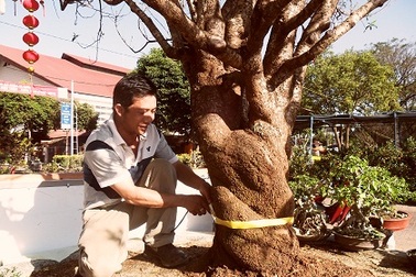 Đào Nhật Tân giá trăm triệu "lặn lội" lên tận Tây Nguyên