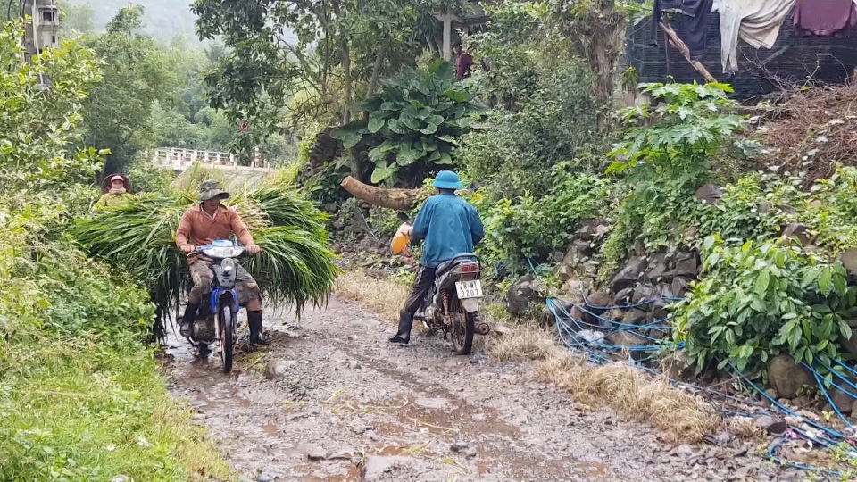 Phú Yên: Hàng ngàn hộ dân ngày đêm mơ có con đường dân sinh - 3 Phú Yên: Hàng ngàn hộ dân ngày đêm mơ có con đường dân sinh - 3